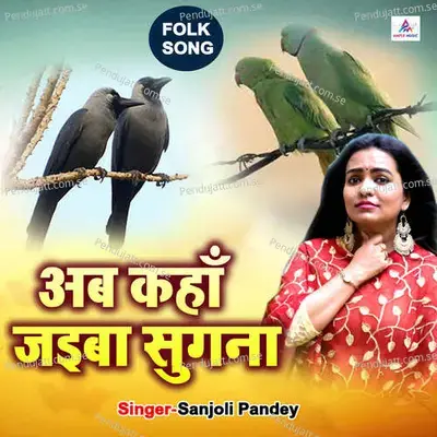 Ab Kahan Jaiba Sugana - Sanjoli Pandey album cover 