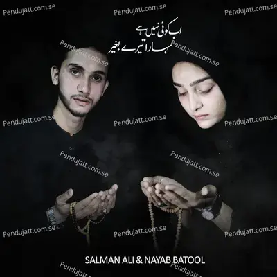 Ab Koi Nahi Hai Sahara Tere Bagair - Salman Ali album cover 