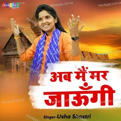 Ab Mai Mar Jaungi - Usha Shastri album cover 