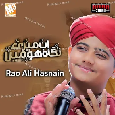 Ab Meri Nigahon Main - Rao Ali Hasnain album cover 