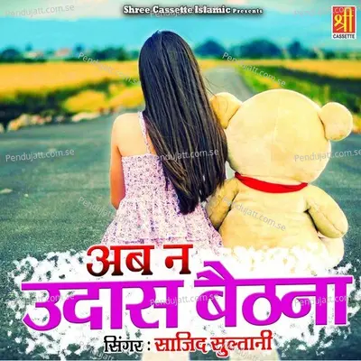 Mere Peer Ke Karam Se Mera Naam Ho Gaya - Sazid Sultani album cover 