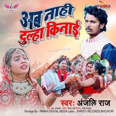 Ab Nahi Dulha Kinai - Anjali Raj album cover 