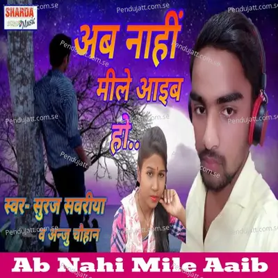 Ab Nahi Mile Aaib Ha - Suraj Sawariya album cover 