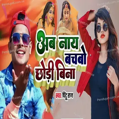 Ab Nay Bachbo Chhodi Bina - Pintu Raj album cover 