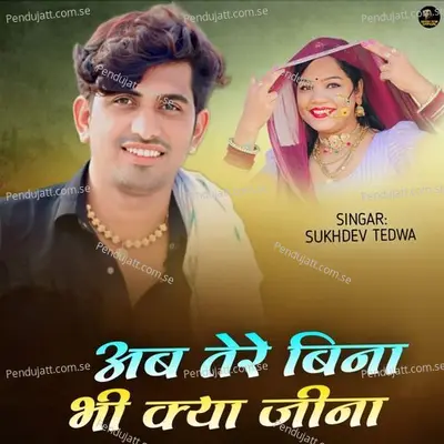 Ab Tere Bina Bhi Kya Jeena - Sukhdev Tedwa album cover 