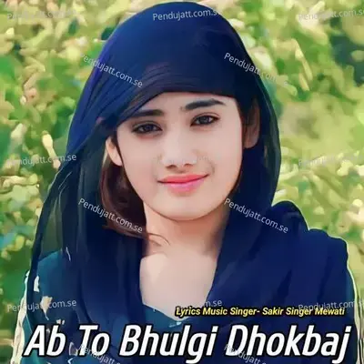 Ab To Bhulgi Dhokbaj - Sakir Singer Mewati album cover 