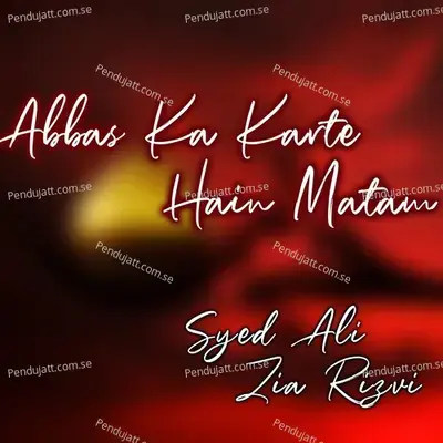 Naneh Mojahid Jakar Ran Main - Syed Ali Zia Rizvi album cover 