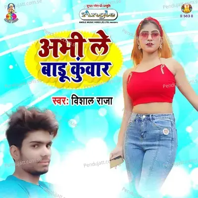 Abhi Le Badu Kunwar - Vishal Raja album cover 