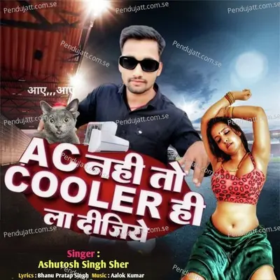 Ac Nahi To Cooler Hi La Dijiye - Ashutosh Singh Sher album cover 