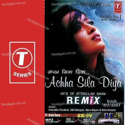 Tujhe Bhoolna To Chaha - Anuradha Paudwal album cover 