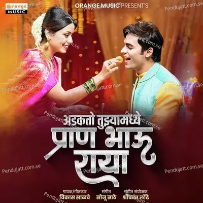 Adakato Tujhyamadhe Pran Bhauraya - Vikas Salve album cover 