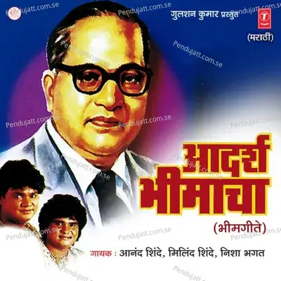 Khara Deshbhakt - Anand Shinde album cover 