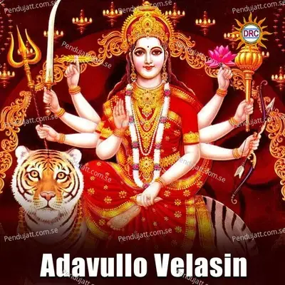 Adavullo Velasin - Warangal Shankar album cover 