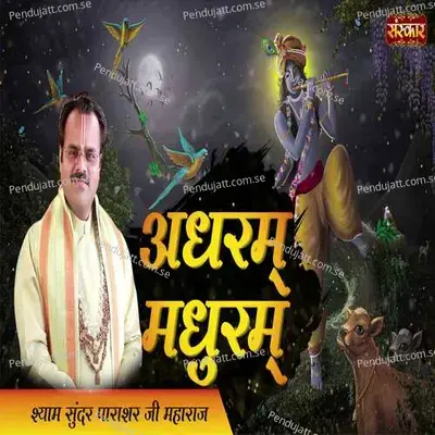 Adharam Madhuram - Shyam Sunder Parashar album cover 