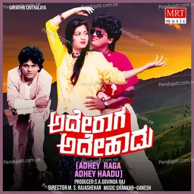 Anuragada Hosa Anandavo - S. P. Balasubrahmanyam album cover 