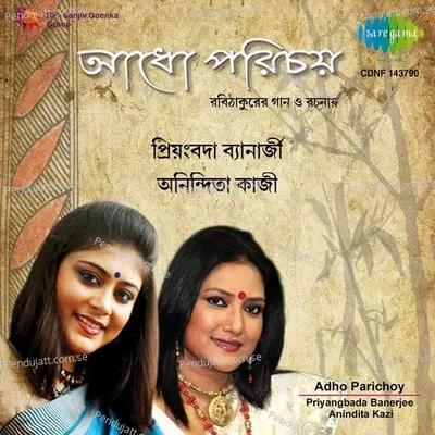 Shudhu Jaoya Aasa, Shudhu Srote Bhasha - Priyangbada Banerjee album cover 