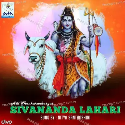 Adi Shankaracharyas Sivananda Lahari - Srinivas cover album