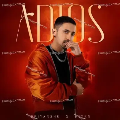 Adios - Hiten album cover 