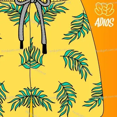 Starter Pack Collector Edition