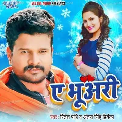 Ae Bhuari - Ritesh Pandey album cover 