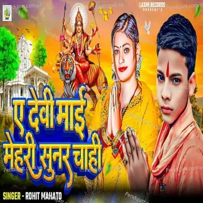 Ae Devi Mai Mehari Sunar Chahi - ROHIT MAHATO album cover 