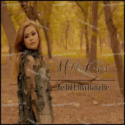 Ae Dil Itna Bata De - Meithly Kelson album cover 