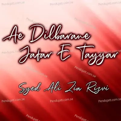 Ae Hussain Jan - Syed Ali Zia Rizvi album cover 