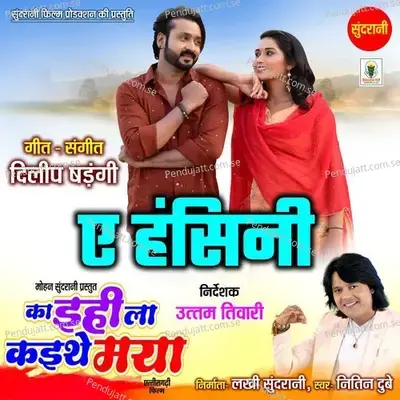 Ae Hansini - Nitin Dubey album cover 