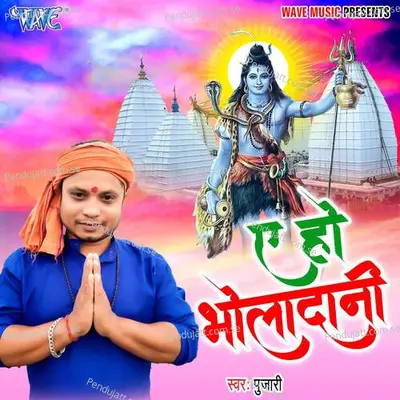 Ae Ho Bholadani - Pujari album cover 