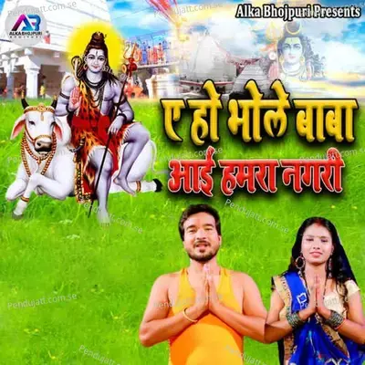 Ae Ho Bhole Baba Aayi Humra Nagri - Shailesh Sanwariya album cover 