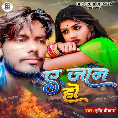 Ae Jaan Ho - Harendra Deewana album cover 