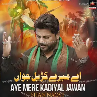 Ae Mere Kariyal Jawan - Shan Naqvi album cover 