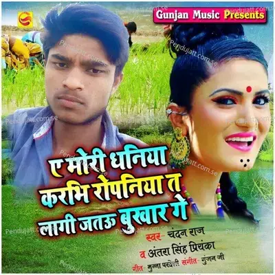 Ae Mori Dhaniya Karbhi Ropaniya Lagi Jaito Bukhar Ge - Chandan Raj album cover 