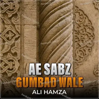 Ae Sabz Gumbad Wale - Ali Hamza album cover 