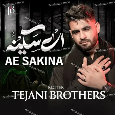 Ae Sakina - Tejani Brothers album cover 