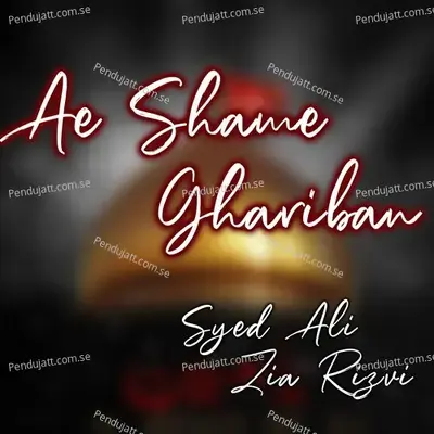 Ae Shame Ghariban - Syed Ali Zia Rizvi album cover 