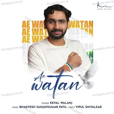 Ae Watan - Vipul Shivalkar album cover 