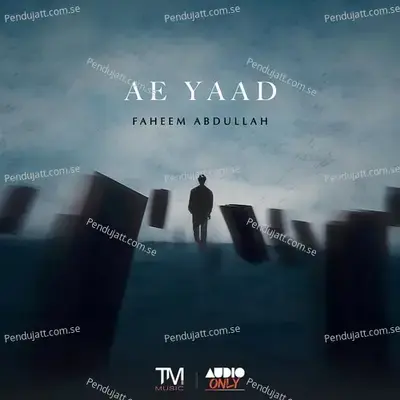 Ae Yaad - Faheem Abdullah album cover 