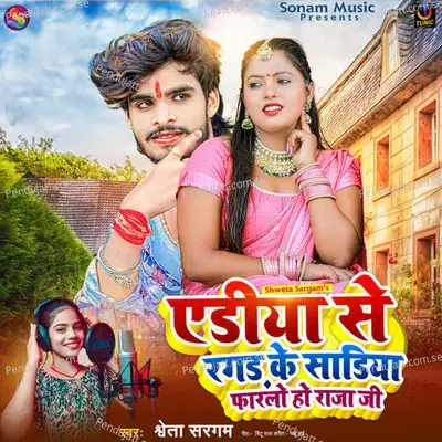 Aediya Se Ragad Ke Sadiya Farlo Ho Raja Ji - Shweta Sargam album cover 