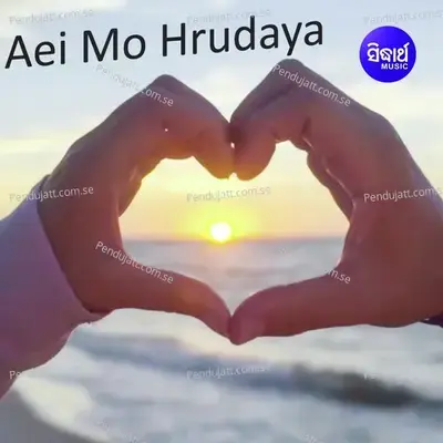 Kichhi Kahiba Mate Nahin Darakara - Swayam Padhi album cover 