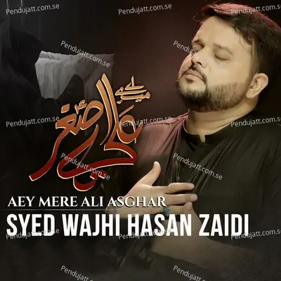 Aey Mere Ali Asghar - Syed Wajhi Hasan Zaidi album cover 