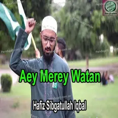 Jahan Mey Kitney Rasool Aey - Hafiz Sibghatullah Iqbal album cover 