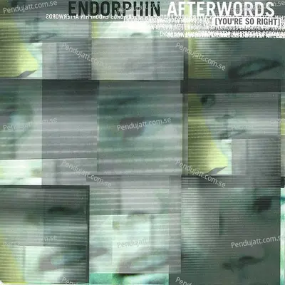 Afterwords - Endorphin album cover 