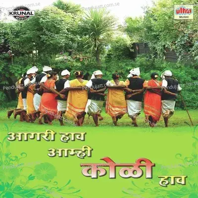 Aaj Kal Bhavala Bhav Valkhana - Jagdish Patil album cover 