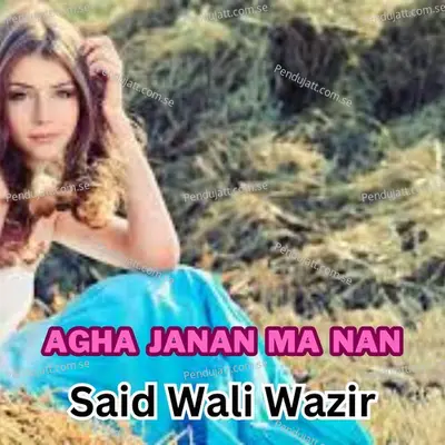 Agha Janan Ma Nan - Said Wali Wazir album cover 