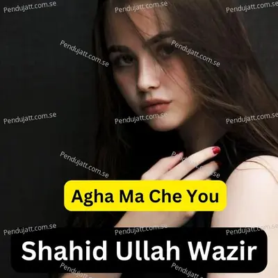 Agha Ma Che You - Shahid Ullah Wazir album cover 