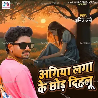 Agiya Laga Ke Chhor Dihlu - Anil Ambe album cover 