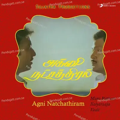 Raaja Raajathi - Ilaiyaraaja album cover 