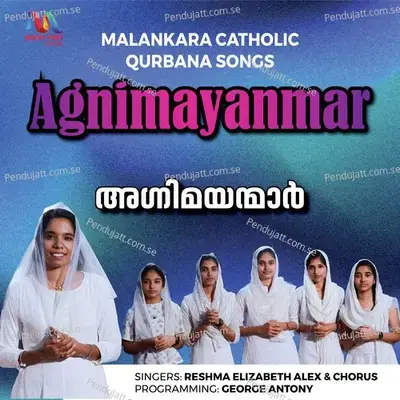 Agnimayanmar - Reshma Elizabeth Alex album cover 