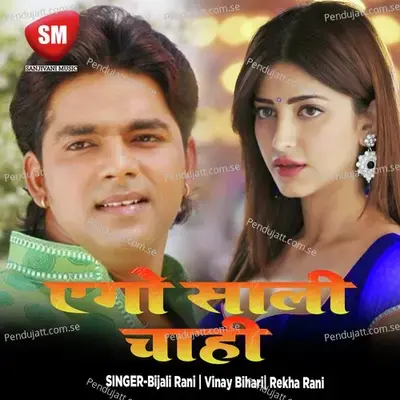 Bulki Wali Ge - Vinay Bihari album cover 